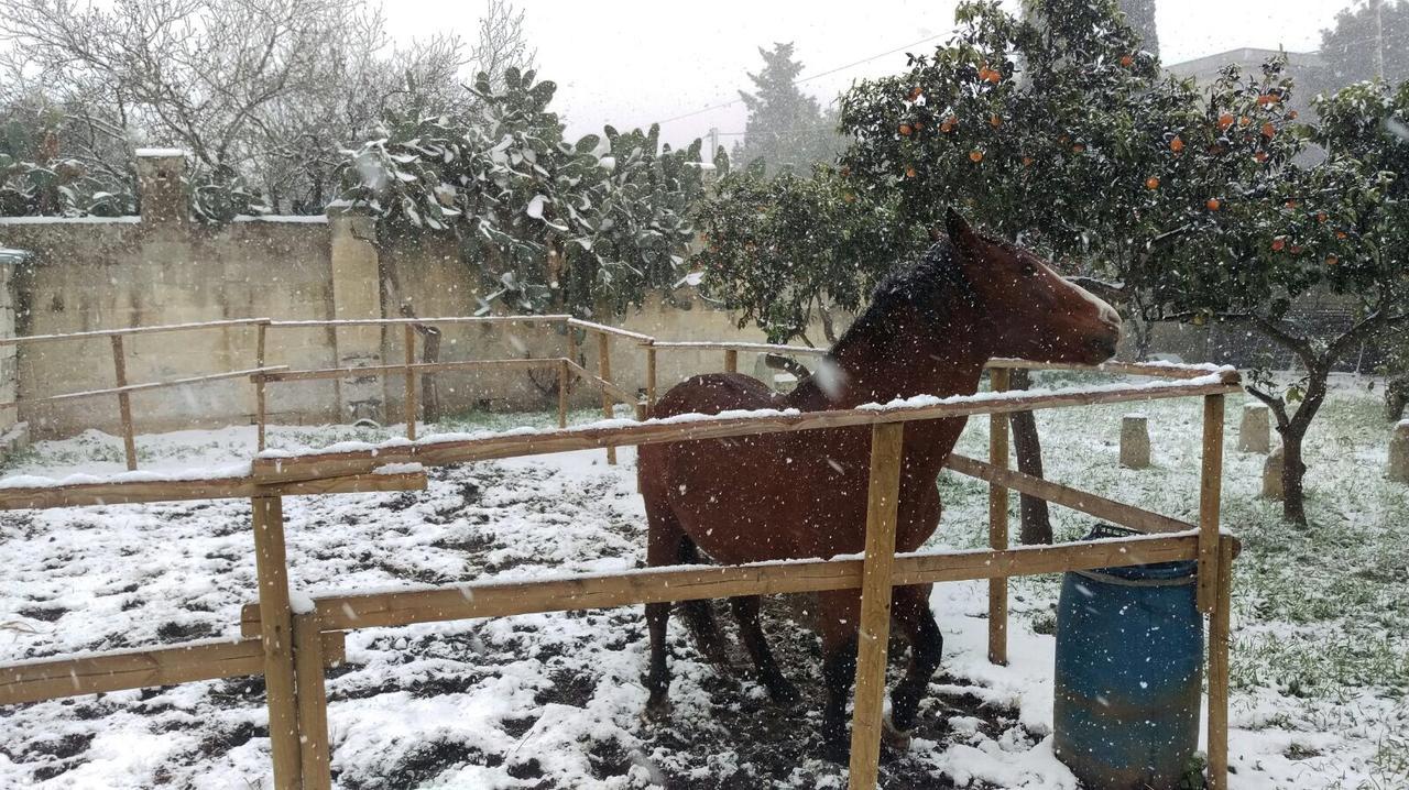 Tenuta "Li Santi" Pension San Cesario di Lecce Buitenkant foto